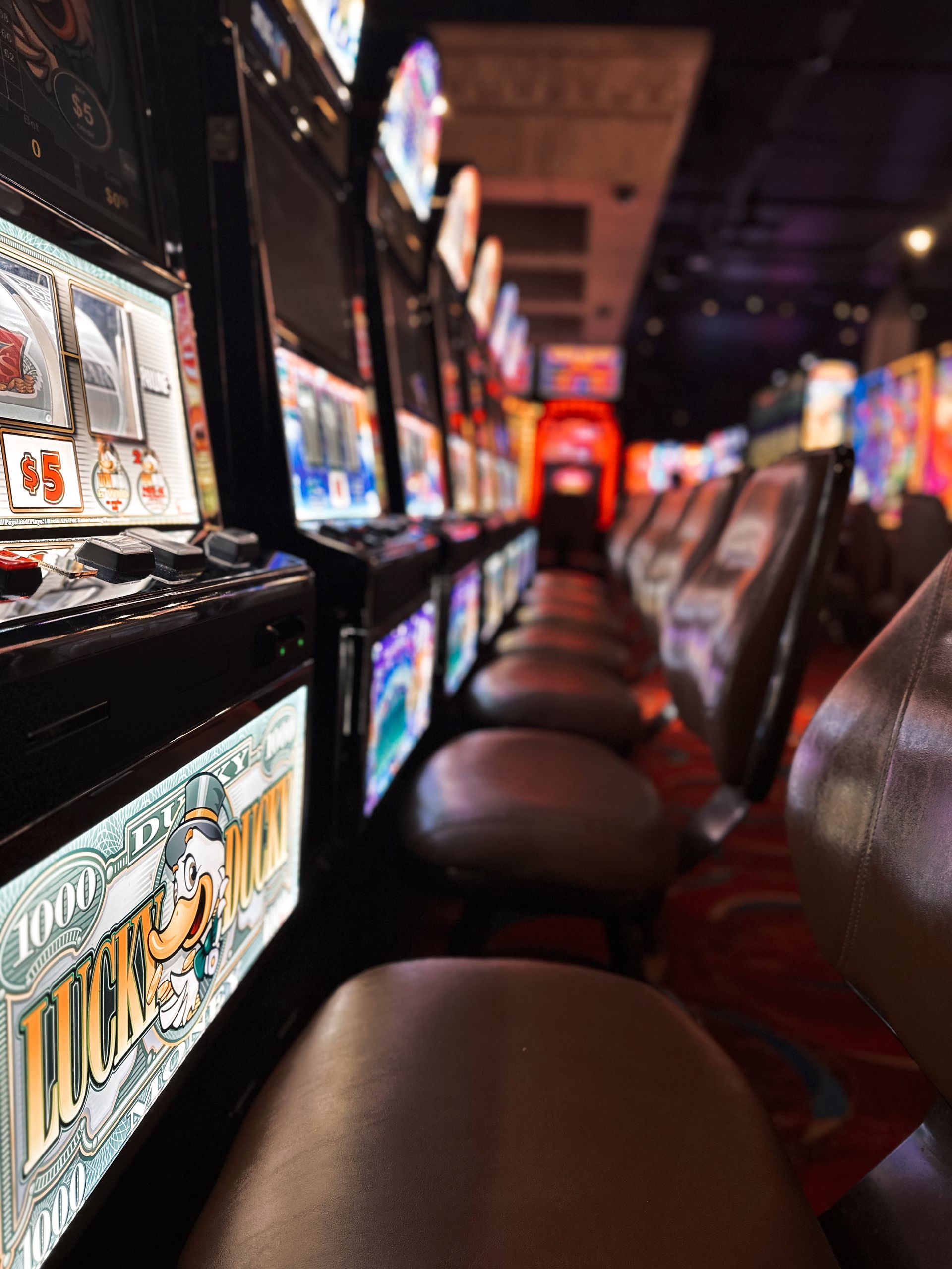 Live In-Play Guide: Fast Live Boxing Payouts